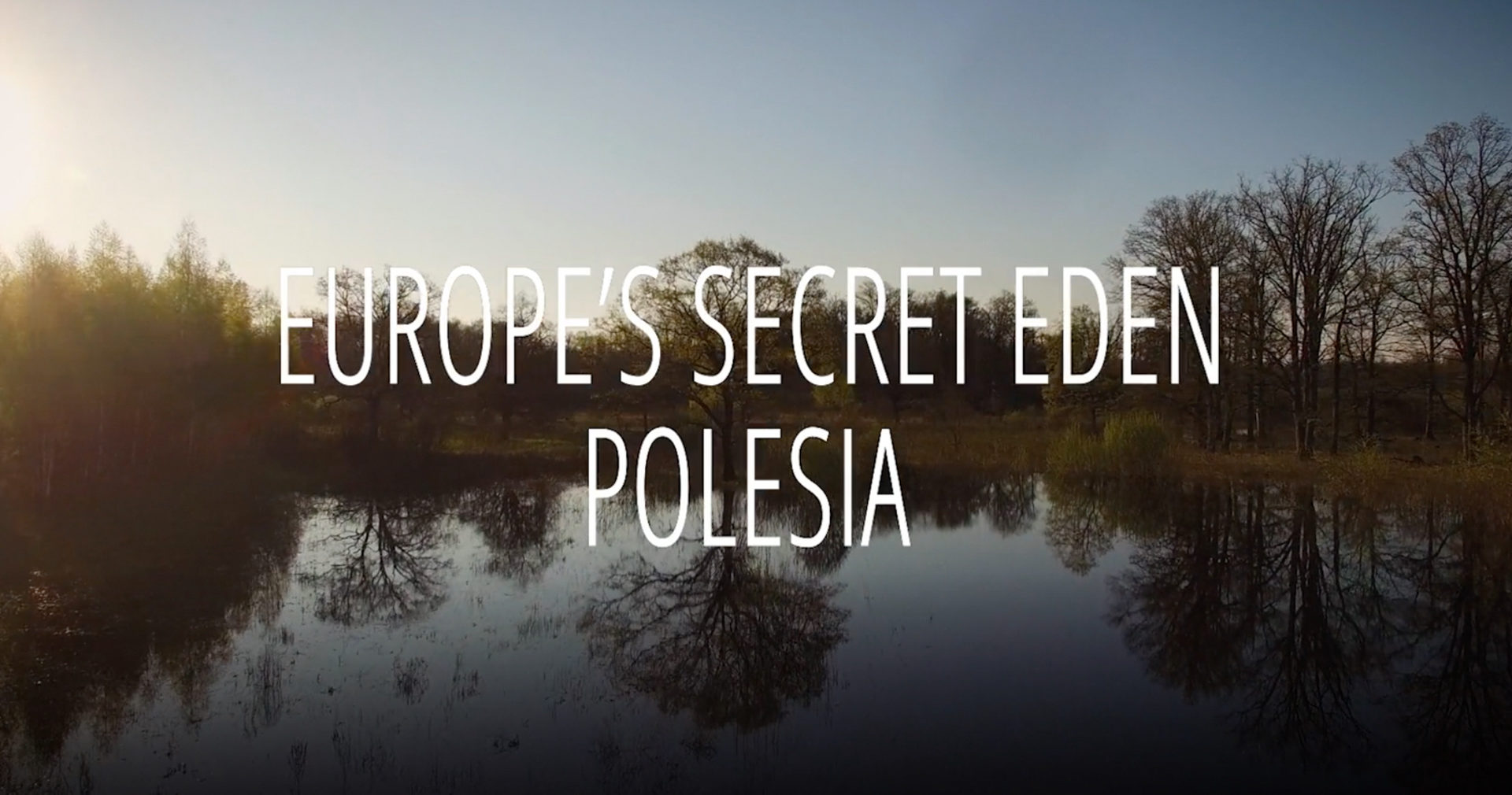 Must-see: Polesia film on new streaming platform - Save Polesia