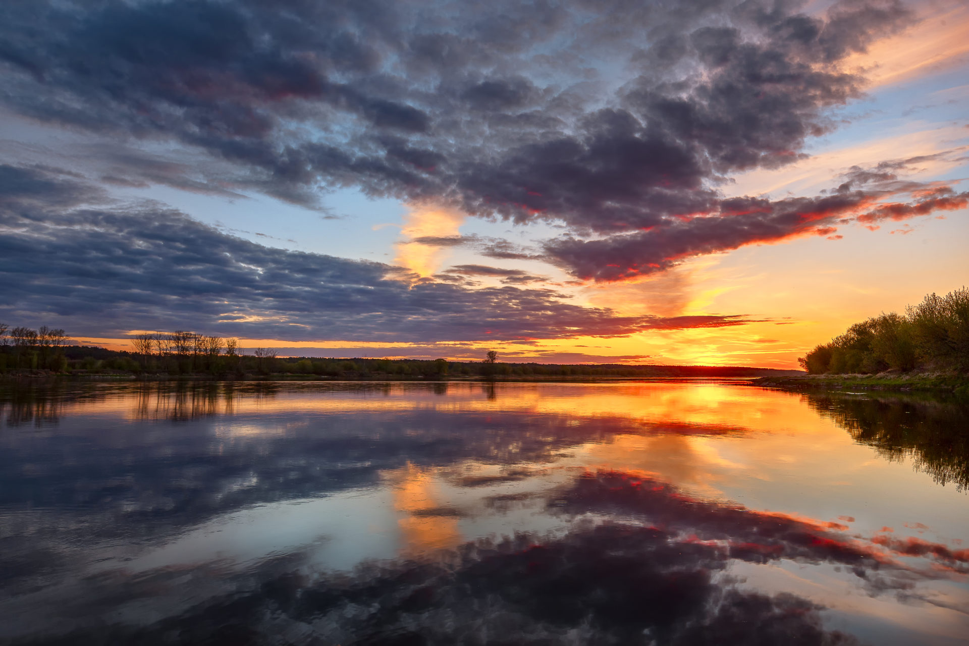 Poor health of Vistula and other European rivers persists - Save Polesia