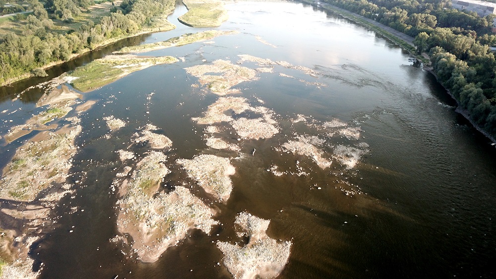 Victory for Poland's Vistula river: Siarzewo dam project canceled