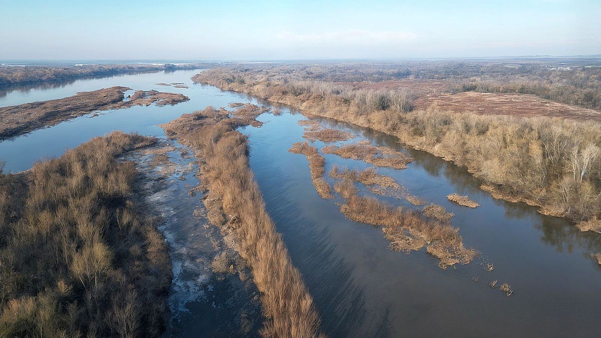 Siarzewo dam: the battle isn’t over